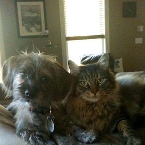 Meet your Posher, Caroline